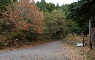 湯屋谷分岐