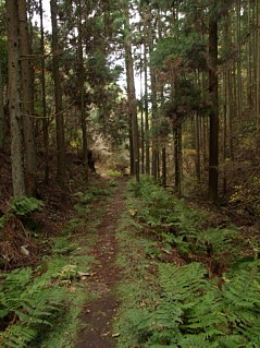 下山道