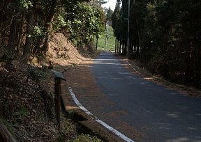 三国越林道