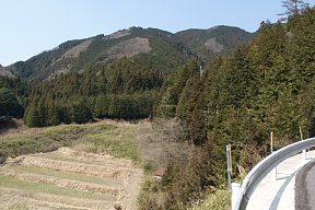 山を振り仰ぐ