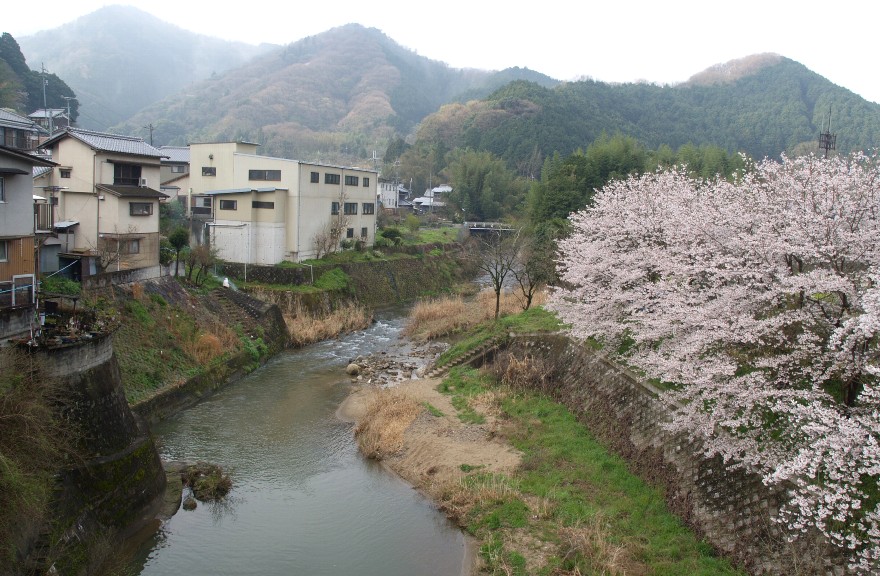 白砂川