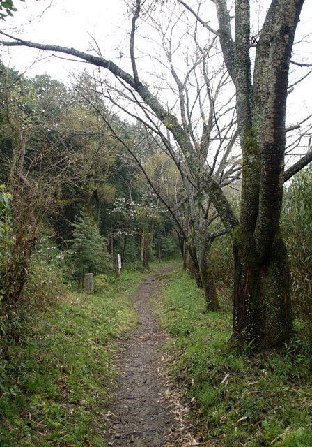 登山道