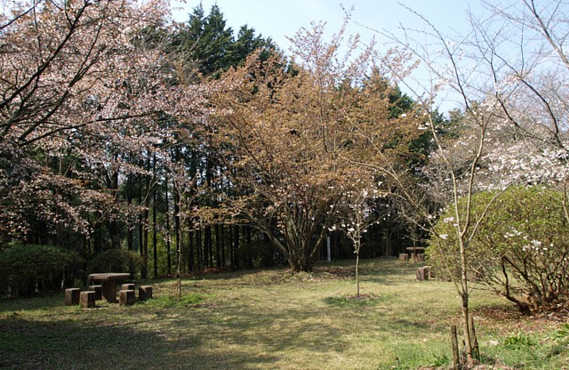 芝生の広場