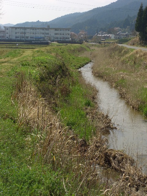 滝打川