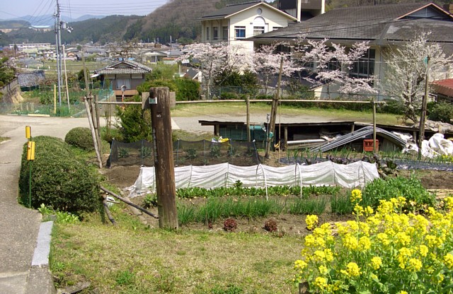 八坂神社入り口