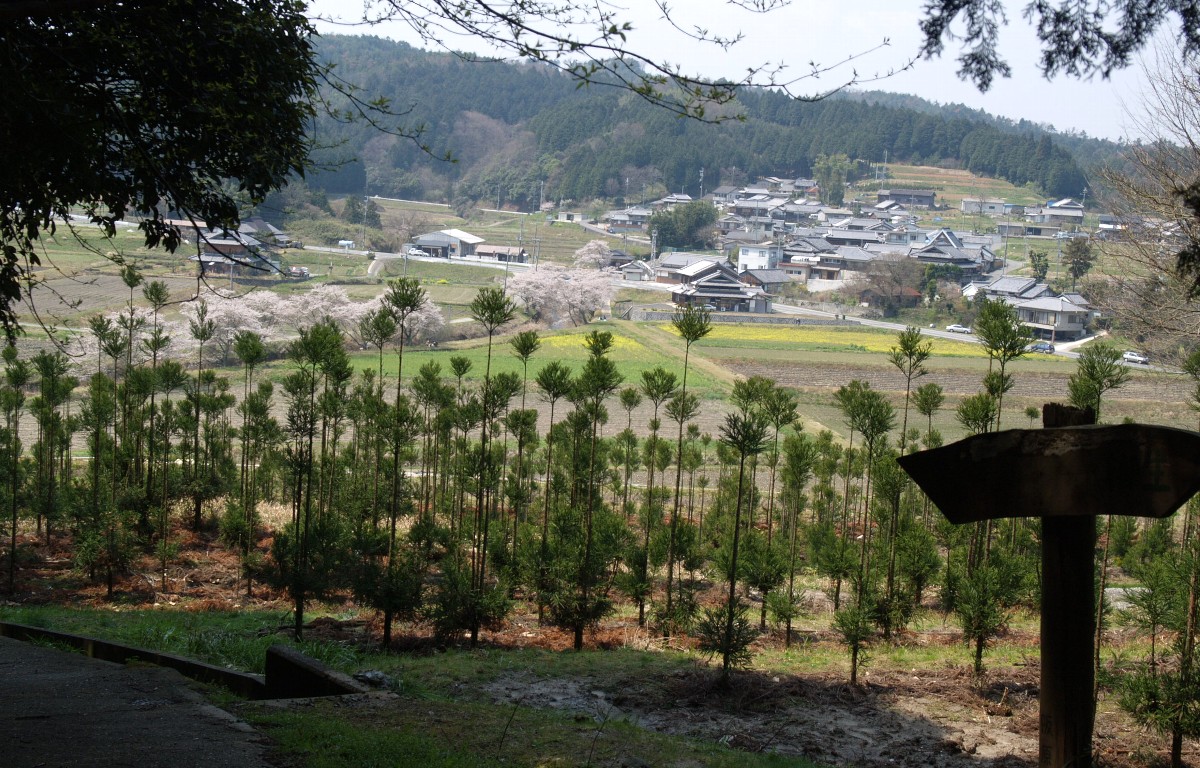 阪原の里