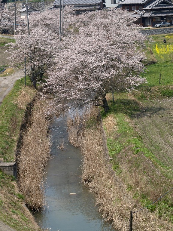 白砂川