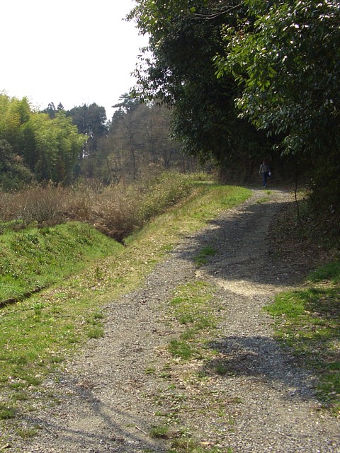 用水沿いの道