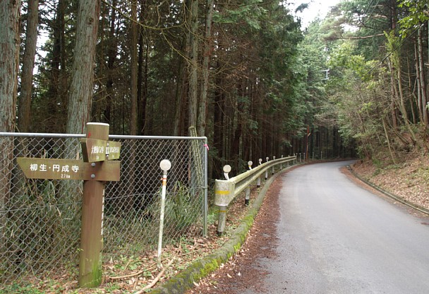 県道合流