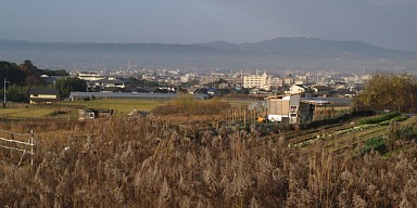 奈良盆地