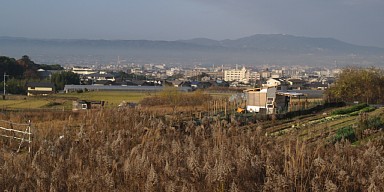 奈良盆地