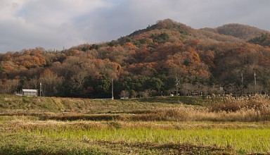 冬の里山