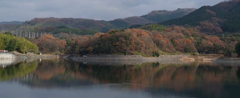 冬の紅葉