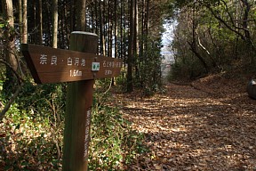 ごく短い山道