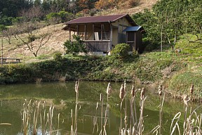 学校の農場