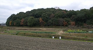 手白香皇女衾田陵