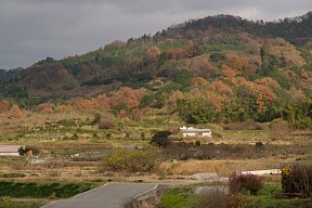 冬の山