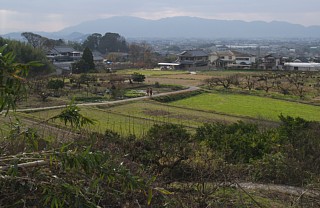 柳本方面