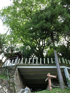 高龗神社