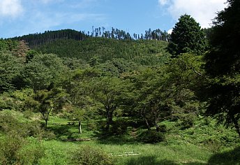 鳥見山公園