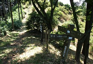 貝ヶ平山分岐