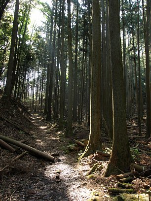 峠道