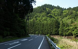 県道28号