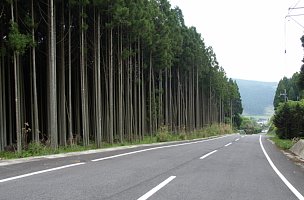 県道784号