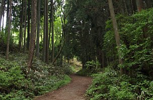 登山道