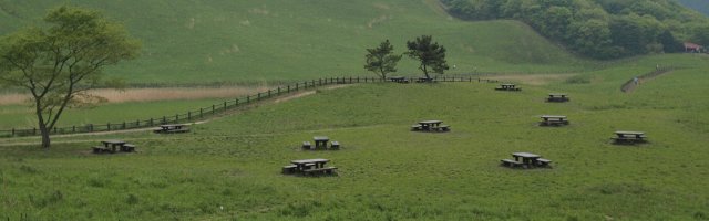 ベンチと遊歩道