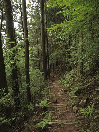 下山道