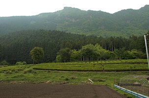 倶留尊山東面