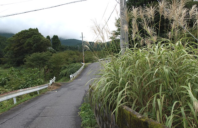 県道667号