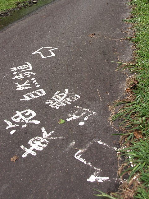 林道出合