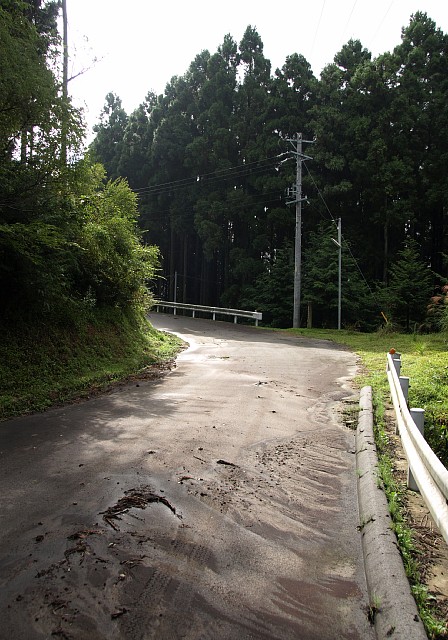 林道八知太郎生線