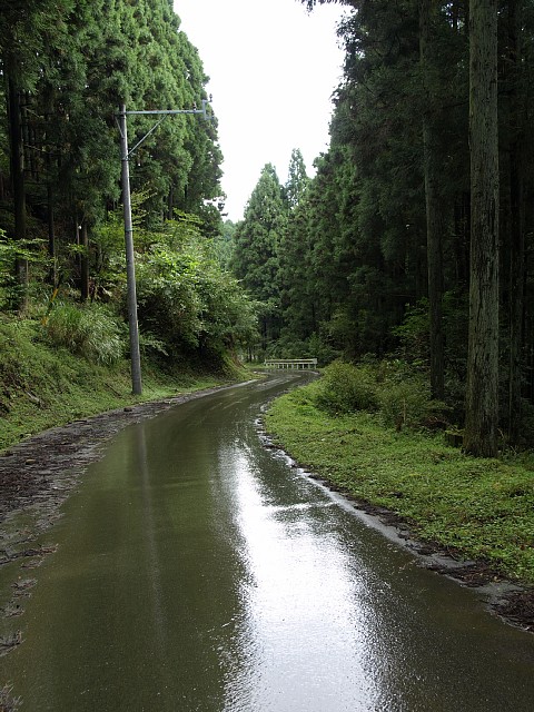 濡れた路面
