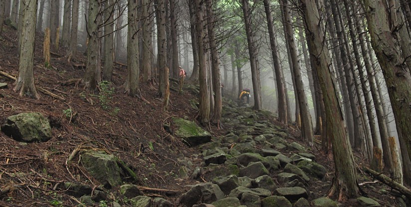 大洞山登山道