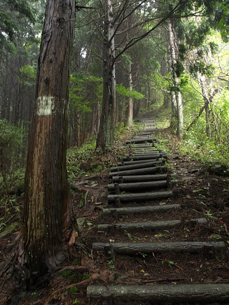 丸木階段