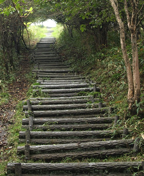 山頂へ