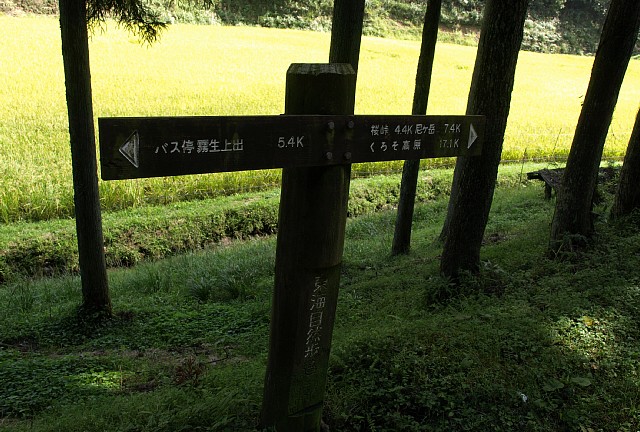 道標