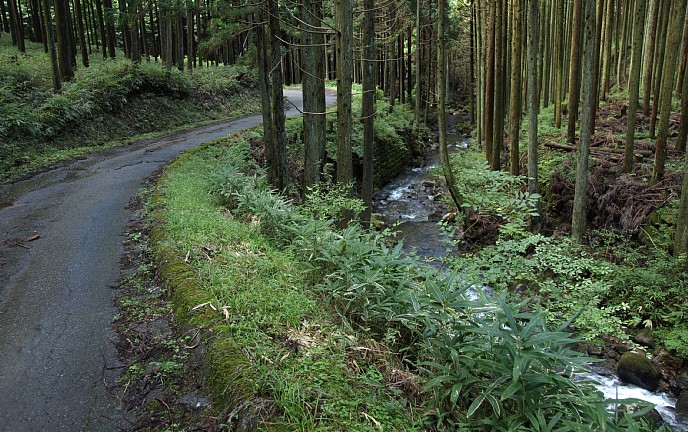 川上川