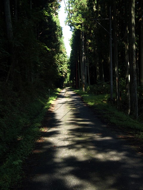 光の道