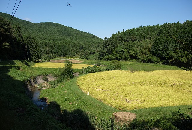 田園地帯