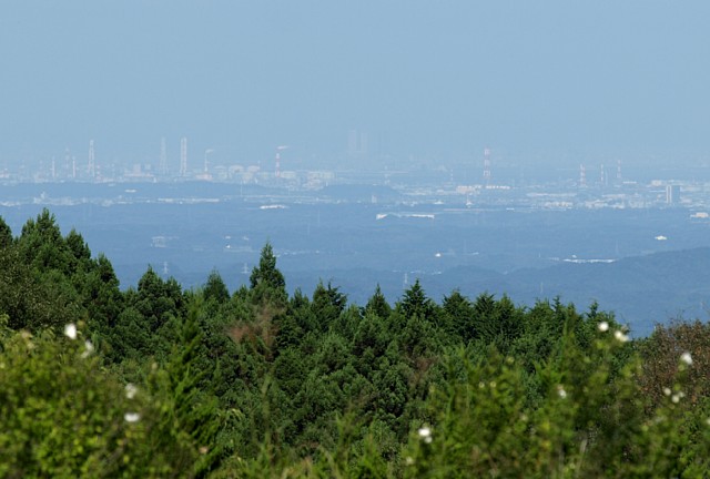 伊勢湾岸