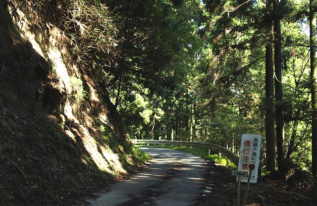 交通注意