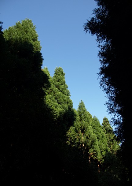 青空