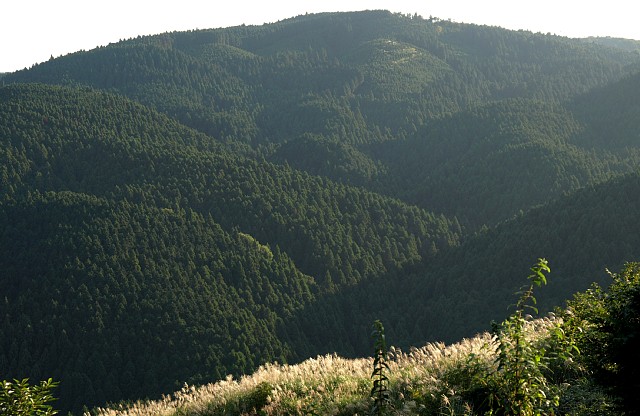 白山？