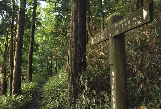 西青山駅へ