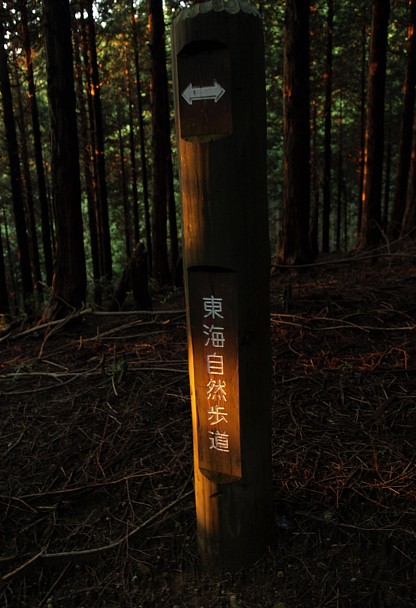 残照
