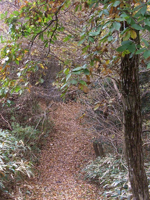 地道